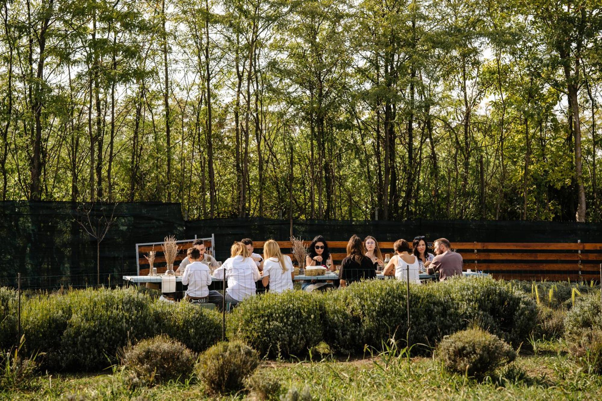 The Tribe Alpaca Retreat Hotel Branesti Екстериор снимка