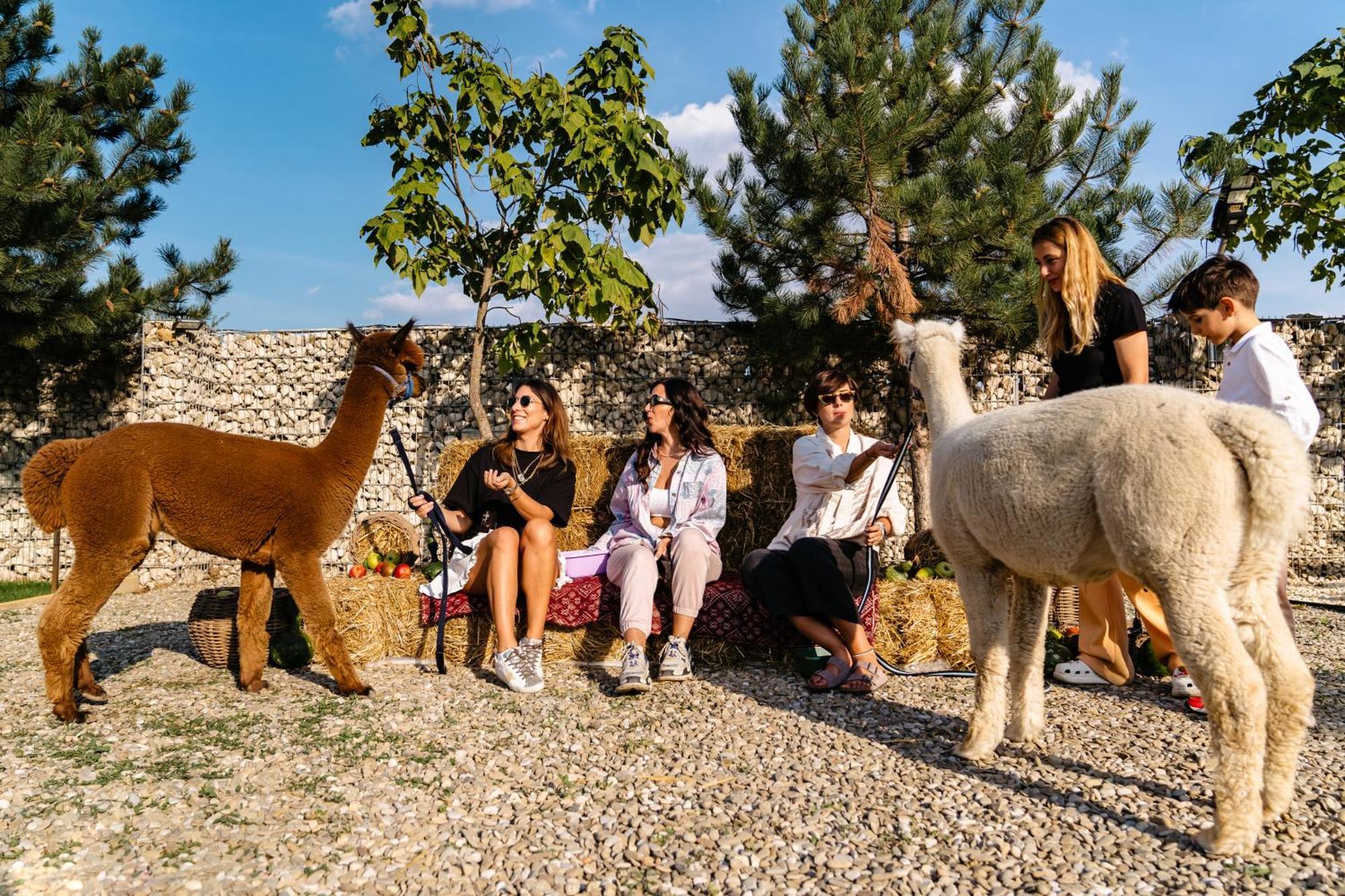 The Tribe Alpaca Retreat Hotel Branesti Екстериор снимка